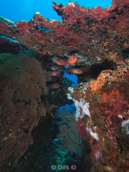 diving christmas island