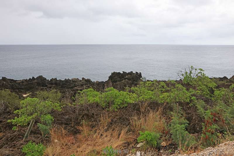 christmas island flying fish cove