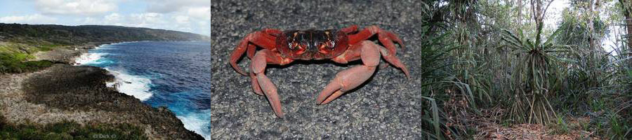 blowholes krabben regenwoud christmas island