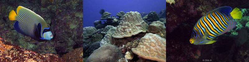 duiken Boat Cave christmas island