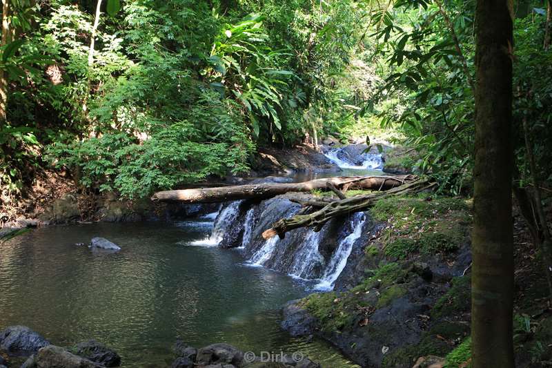 Costa Rica jungle nature reserve Corcovado