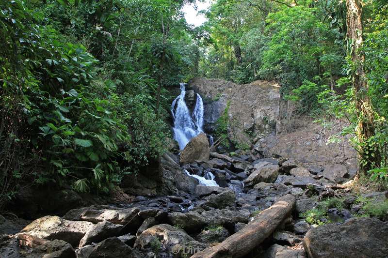 Costa Rica jungle nature reserve Corcovado