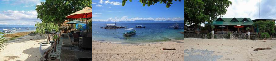 philippines cebu moalboal hotel beach