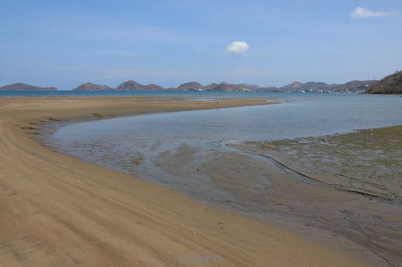 islands flores komodo