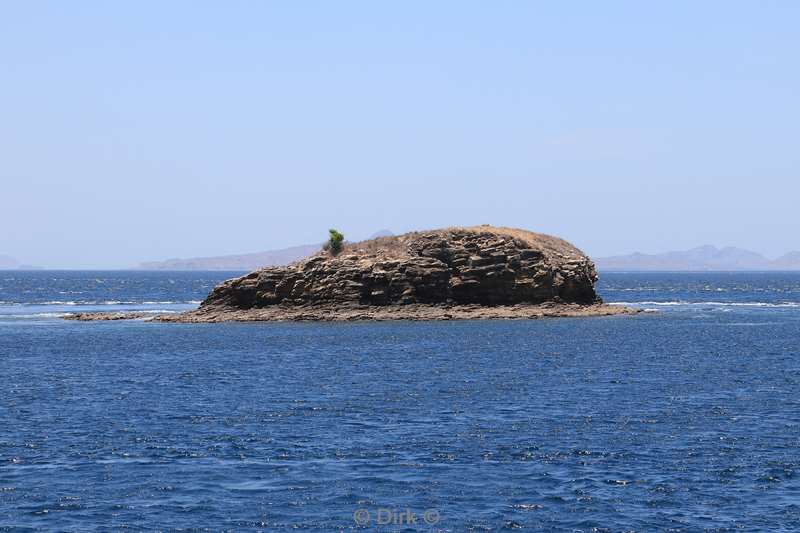 islands flores komodo