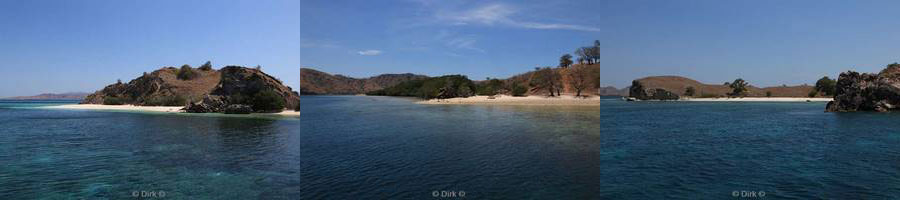 komodovaraan rinca island