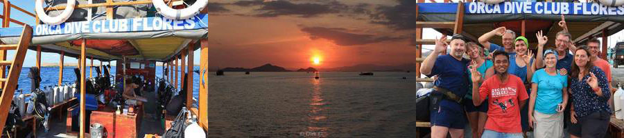 labuan bajo orca divers