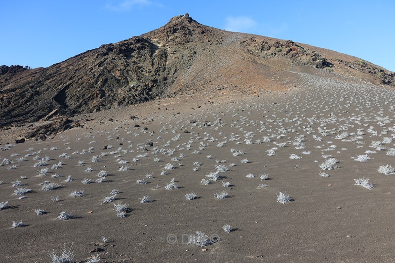 galapagos bartolome island