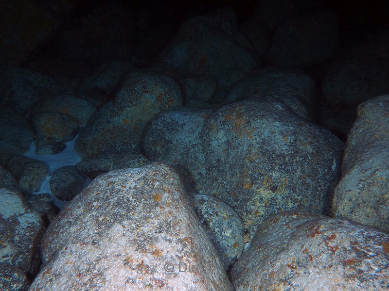 duiken galapagos atoll