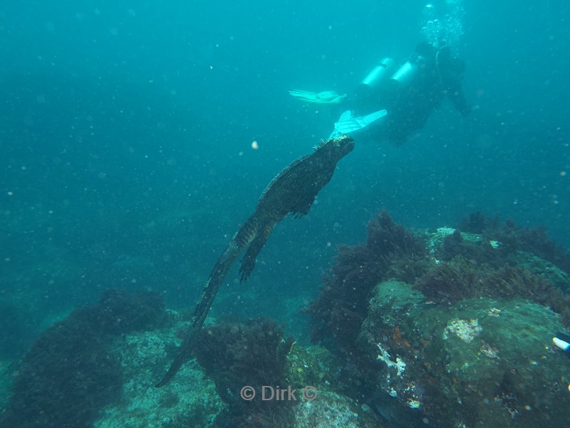 duiken galapagos atoll
