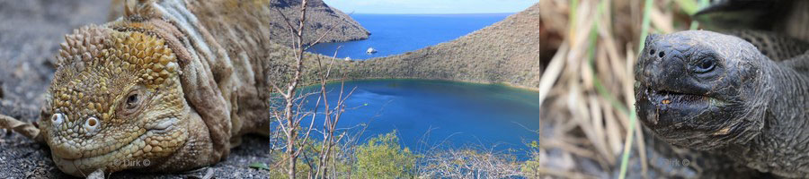 landtour galapagos eiland isabela