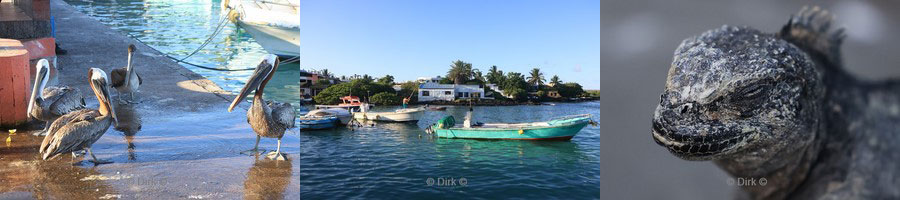 galapagos santa cruz puerto ayora