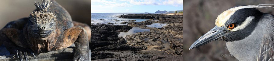 landtour galapagos eiland bartolome