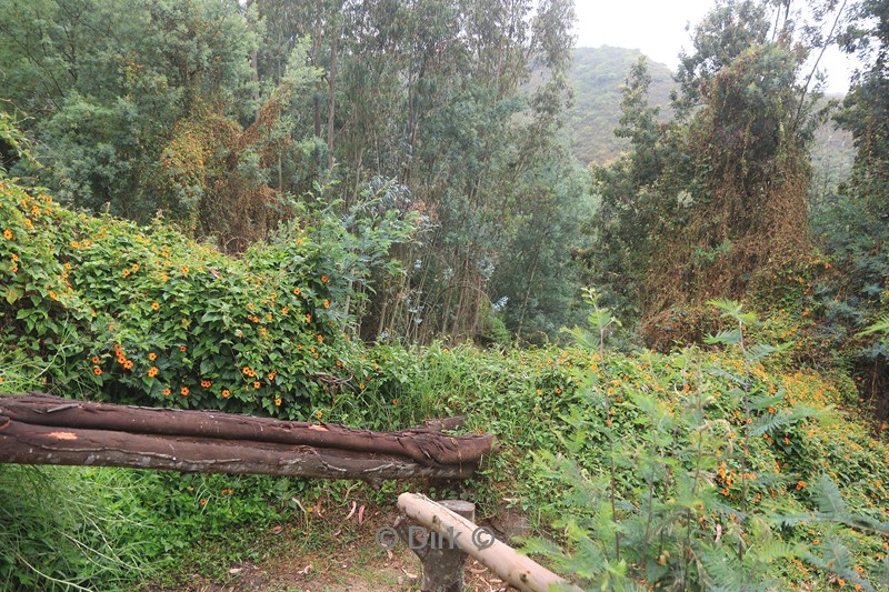 jimenita lodge vallei