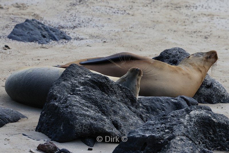 galapagos san cristobal