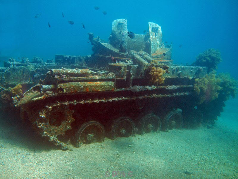 diving jordan red sea