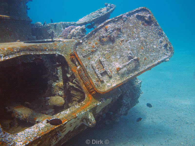 diving jordan red sea