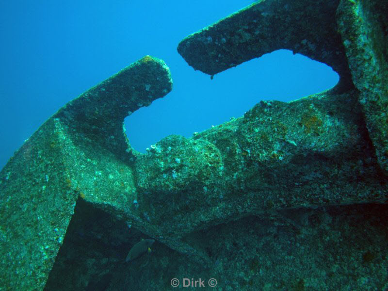 diving jordan red sea