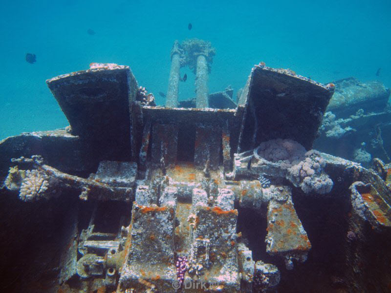 diving jordan red sea