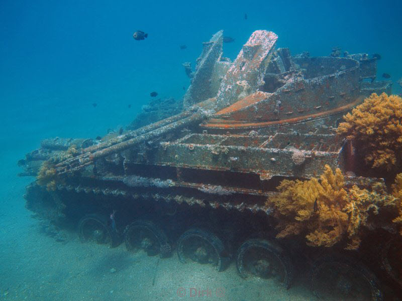 diving jordan red sea