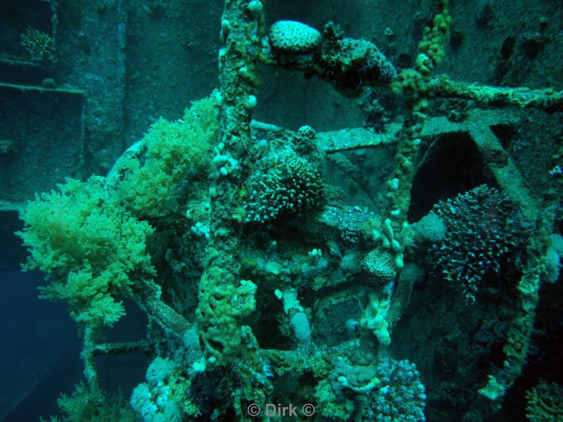 diving jordan red sea