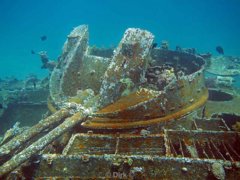 diving jordan red sea