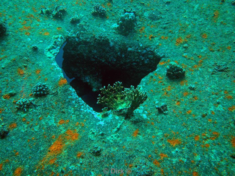 diving jordan red sea