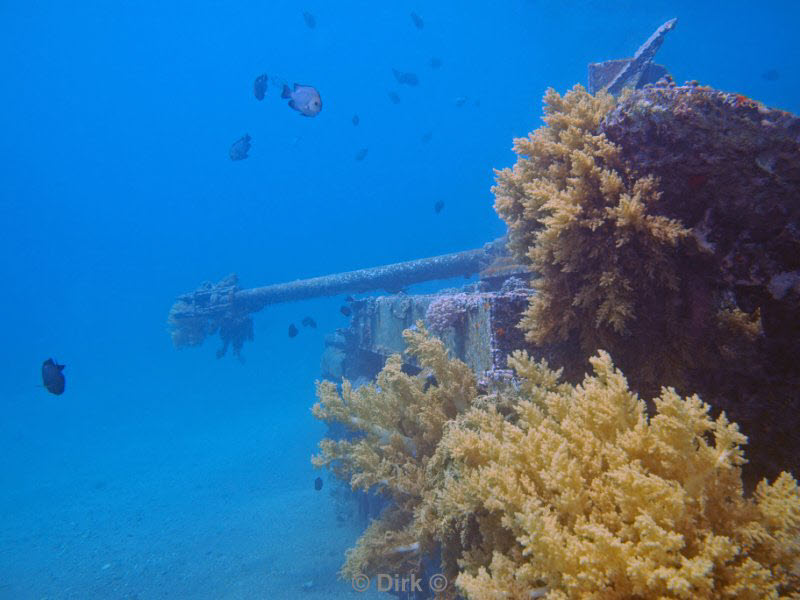 diving jordan red sea