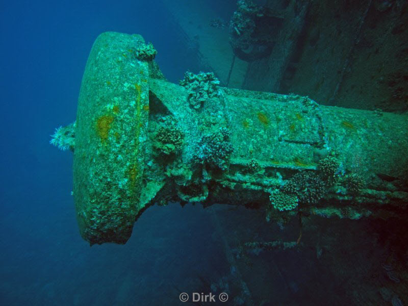 diving jordan red sea