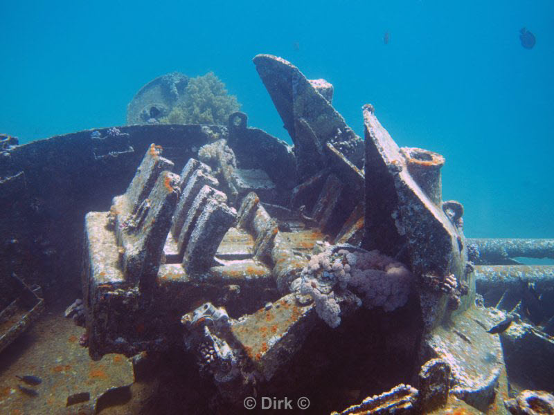 diving jordan red sea