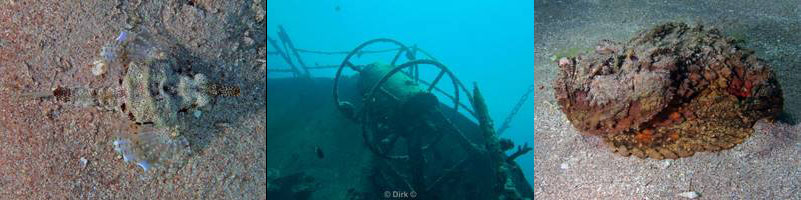 jordanie aqaba duiken rode zee