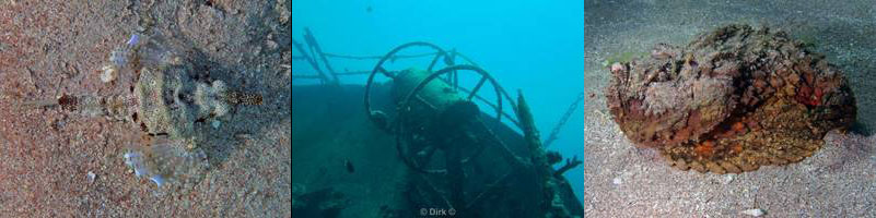 jordanie aqaba duiken rode zee