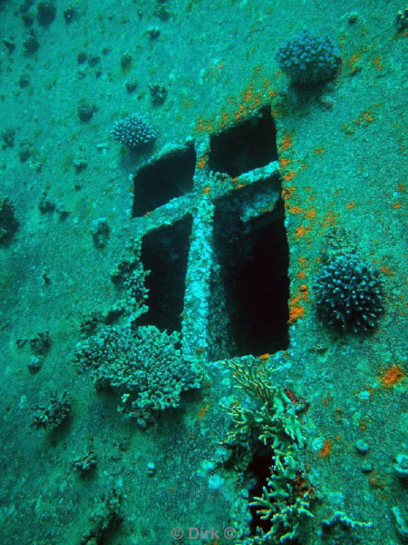 diving jordan red sea