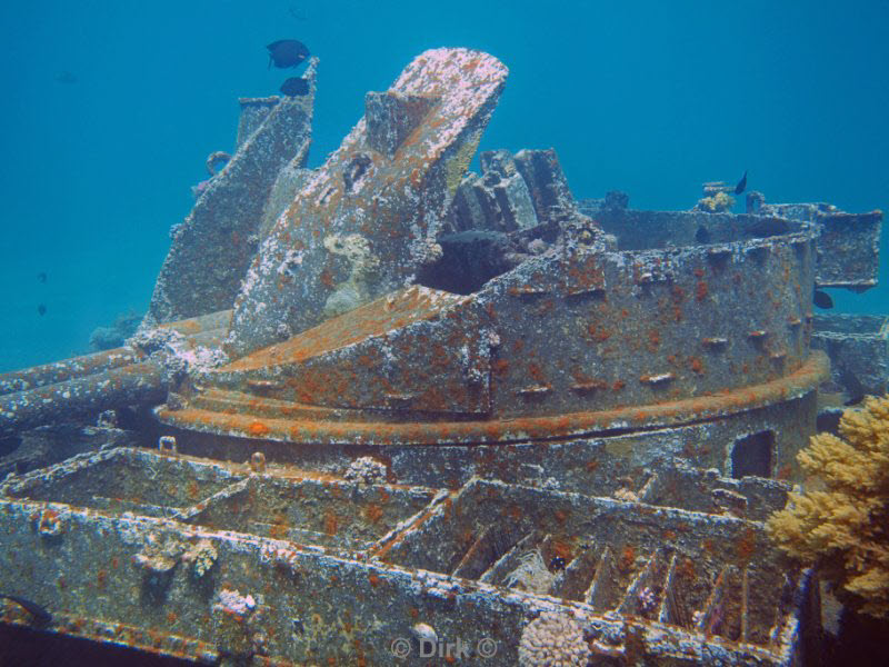 diving jordan red sea