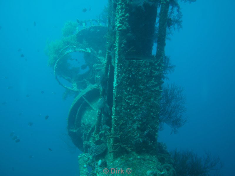 diving jordan red sea