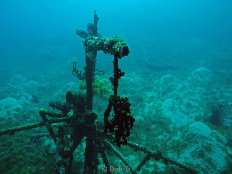 diving jordan red sea