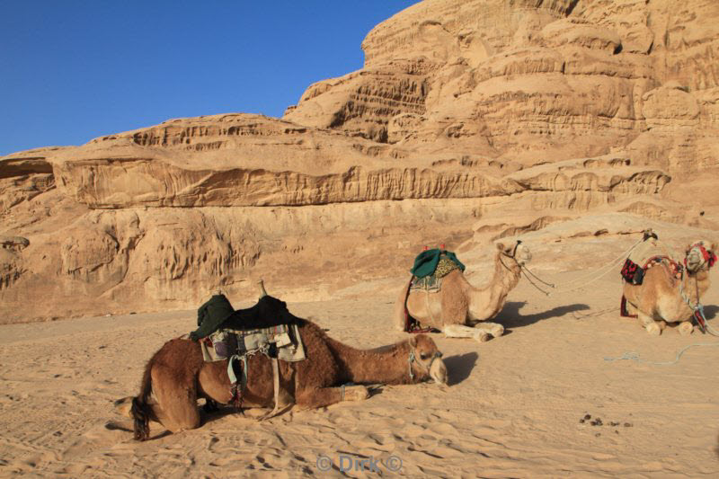 jordanie woestijn wadi rum