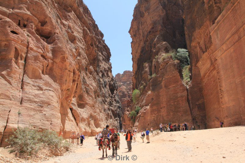 jordan wonder of the world petra