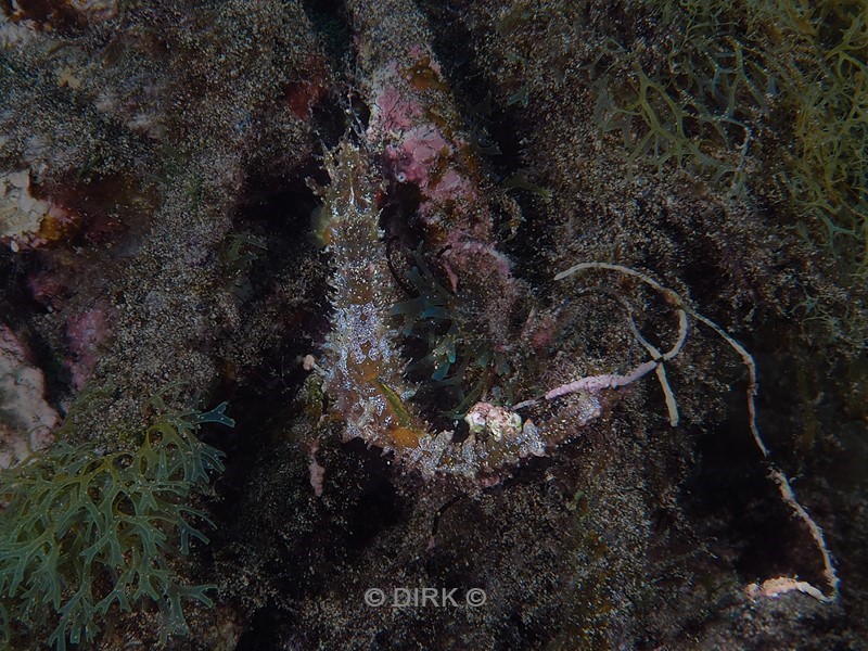 duiken lanzarote playa chica