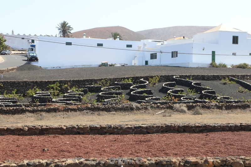 lago verde lanzarote