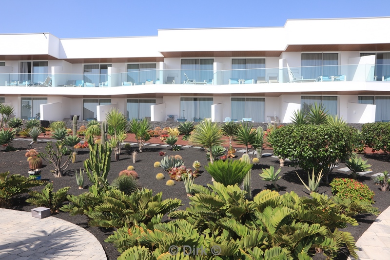 hotel lava beach lanzarote