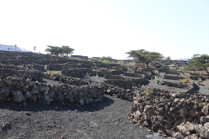 mirador del rio lanzarote