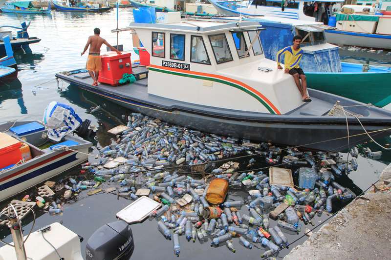 harbor in male in the maldives