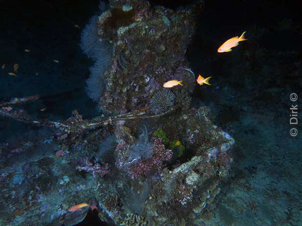 duiken malediven zuid ari atoll