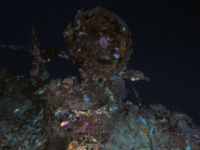 duiken malediven zuid ari atoll