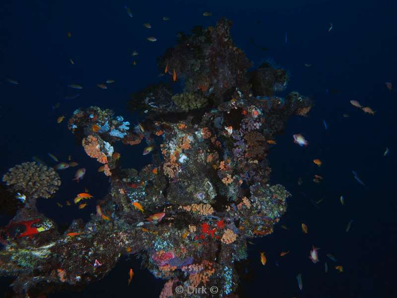 duiken malediven zuid ari atoll