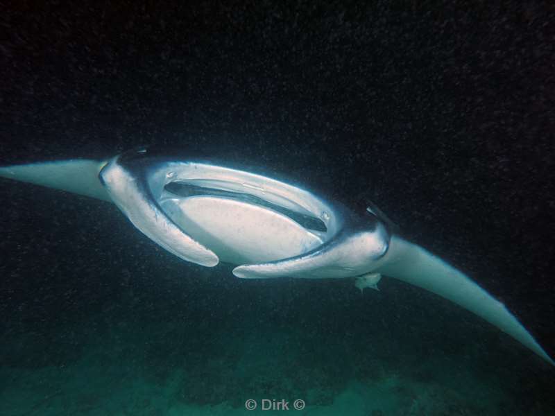 duiken malediven zuid ari atoll