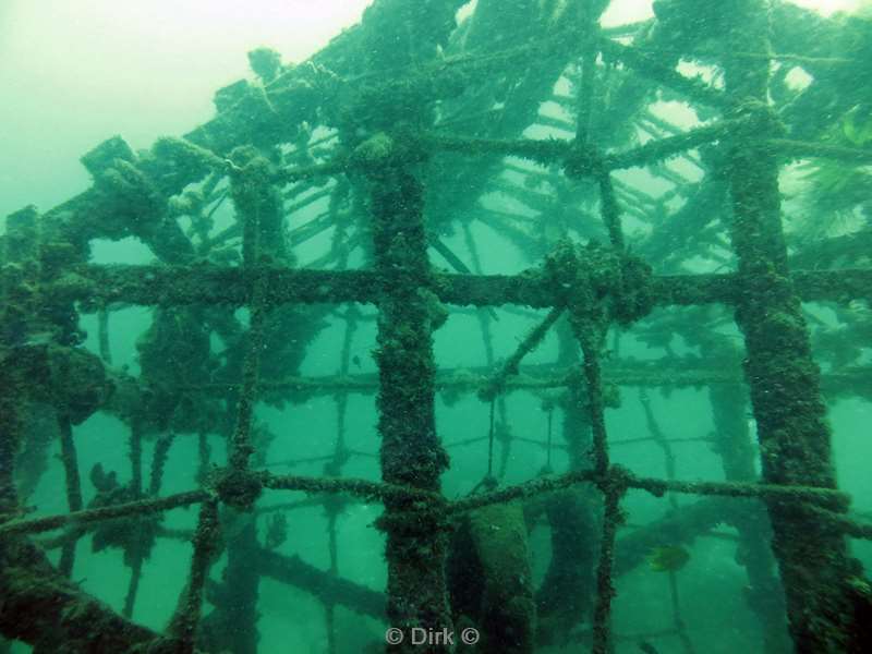 duiken mabul kapalai artificial reef