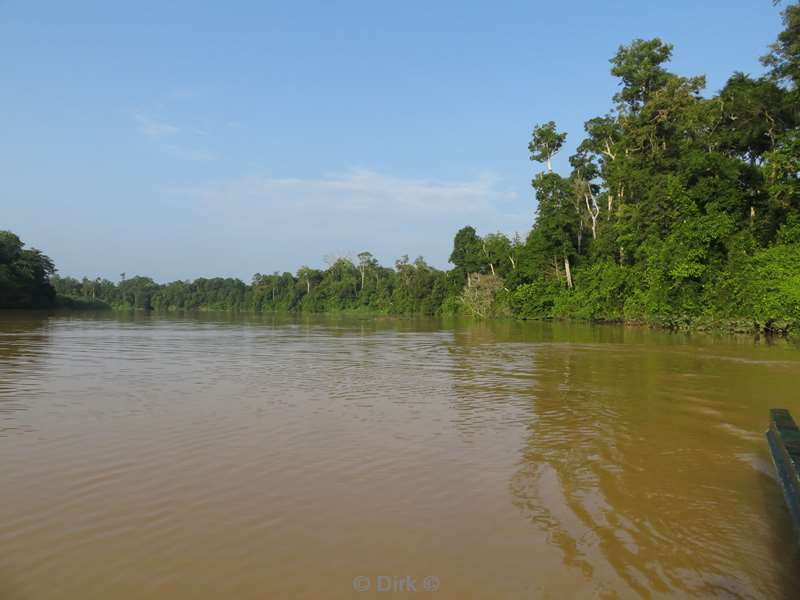 maleisie borneo kinabatangan rivier