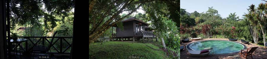 borneo sepilok orangutan rehabilitation centre